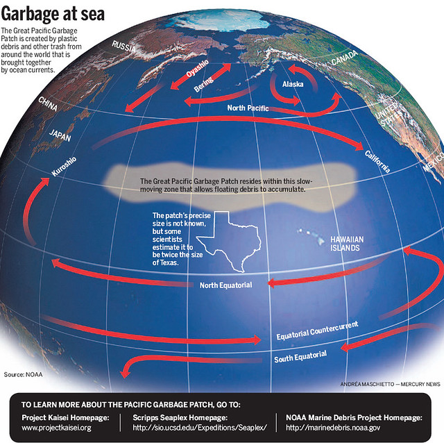 The Great Pacific Garbage Patch, Rewilding for a Healthier Earth, Lisa Orchard