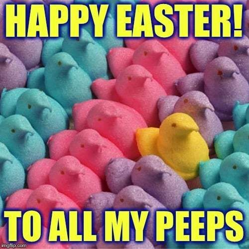 Happy Easter, Peeps, Lisa Orchard